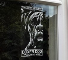 Boxer Dog Wireless Security