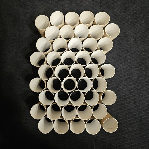 Empty toilet rolls - x,