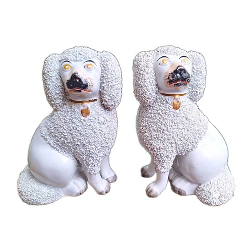 Staffordshire poodles fireside - staffordshire,