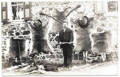 Taxidermist mounts and hydes - and,