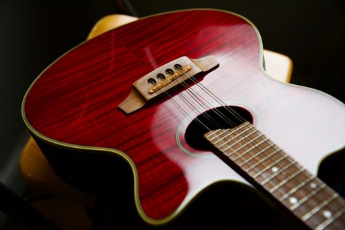 Westfield 500 mandolin with - s0-500,