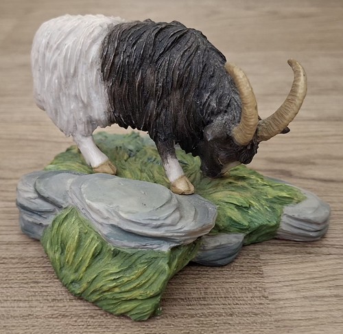 Wild goat yak valais - valais, blackneck