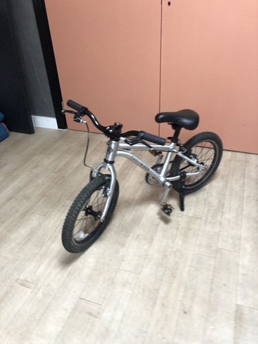 Early rider kids - rider, bike
