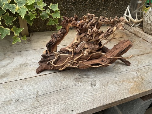 Aquarium driftwood handcrafted - aquarium,