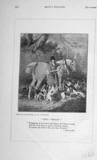 Original Old Antique Print 1906 Hunting Man Horses Hounds Dogs Sport 20th