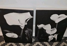 VGC Next Floral Canvas Wall