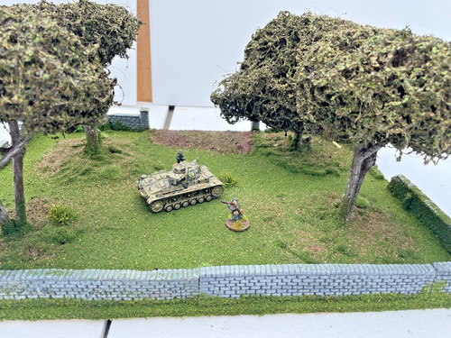 Orchard with trees - (no97e),