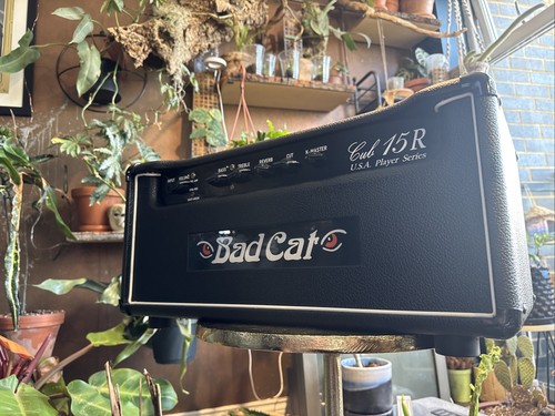 Badcat cub 15r a - badcat, u.s.a