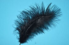 20 Quality Marabou Feathers