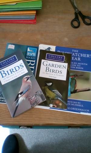 Garden birds collins - garden, of
