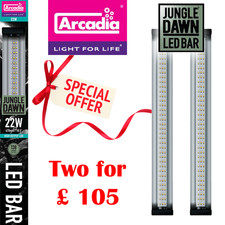 Arcadia jungle dawn led - jungle,
