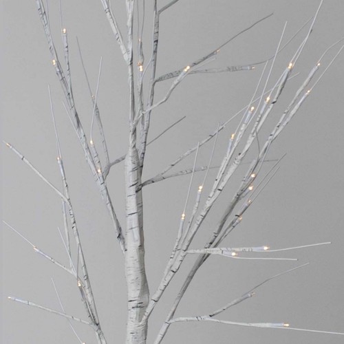 Led warm white light birch - white,