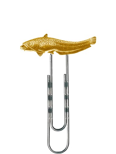 F46 wells catfish english - f46,