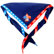 RARE 2019 24TH WORLD SCOUT