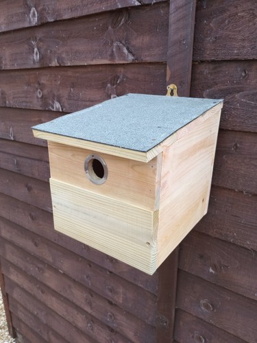 Sparrow nesting box robust - sparrow,