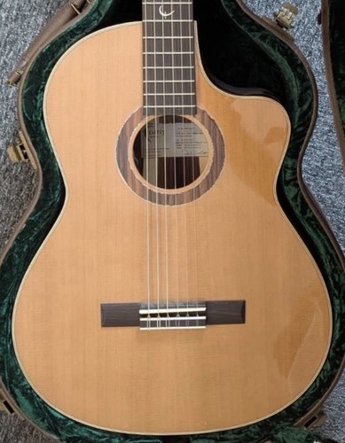 Faith lyra nylon string - nylon,