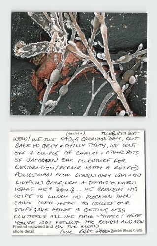 Vintage postcard frosted - vintage,