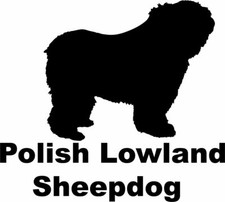Polish lowland sheepdog - polish,