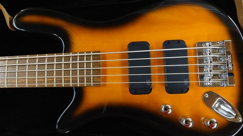String bass guitar - 5-string,