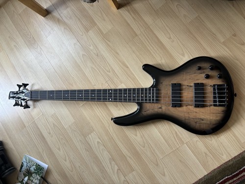 Ibanez string bass - string, guitar