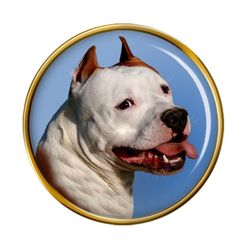 American staffordshire terrier - american,