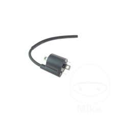 Original Ignition Coil Fits