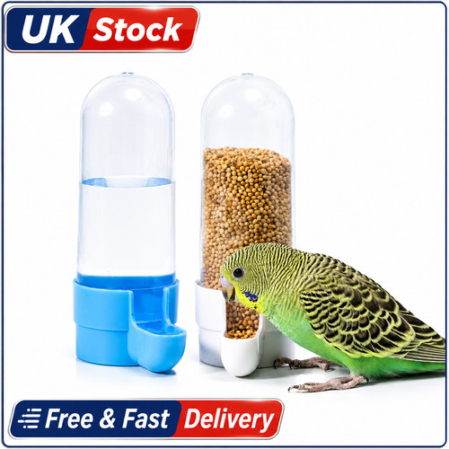 Bird water feeder drinker - bird,