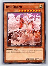 Ryu okami common shining - common,