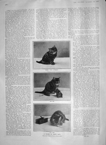 Original old antique print - old,
