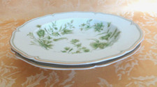 Pair of Haviland Limoges Rim