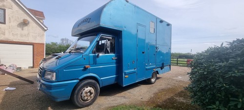 Iveco ton horse - horse, box