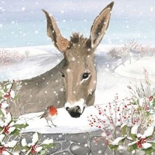 Christmas Cards 6 Pack Donkey and Robin - Charity Xmas Cards Made in the UK