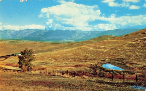 Montana grazing land vintage - montana,