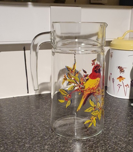 Vintage jay bird print retro - vintage,