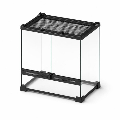 Reptile terrarium - reptile,