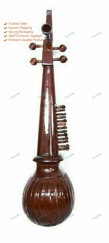 Professional classical string - professional,