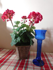 Antique Vintage 10" tall Bristol Blue Glass Hyacinth Bulb forcing Vase