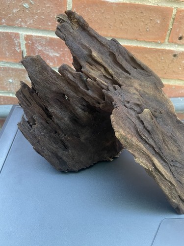 Bogwood medium size piece - bogwood,
