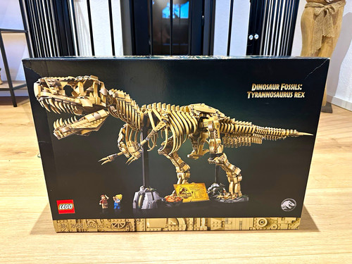 Dinosaur fossils - dinosaur,