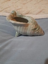 Shell Vase