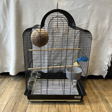 large budgie cage