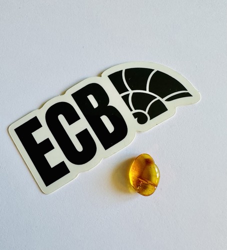 Baltic amber with - baltic,