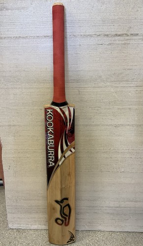 Kookaburra angry beast rare - kookaburra,