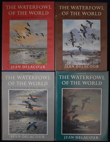 Waterfowl the world - waterfowl, of