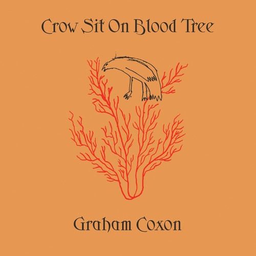Graham coxon crow sit on - :,