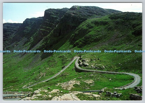D321797 wester ross - ross., hairpin