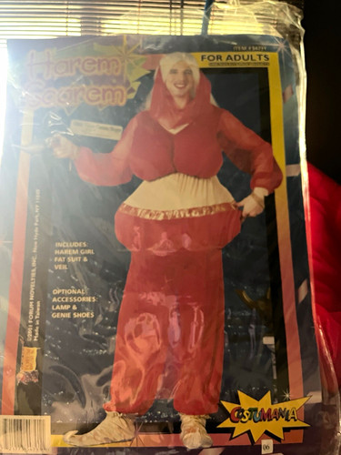 Costumama adult harem girl - adult,
