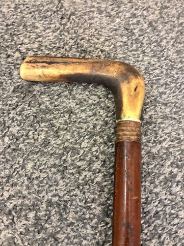 Antique stag horn - antique,