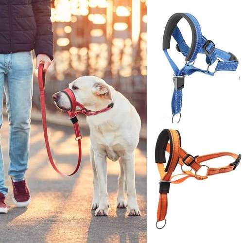 Headcollar non pull - headcollar, head