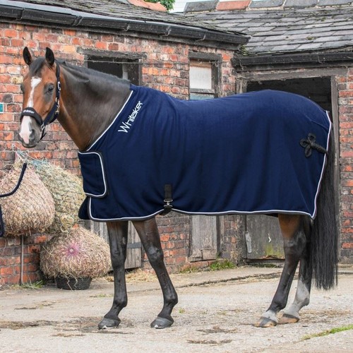 John whitaker club show - john,